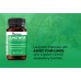 ViteDox Lungwort | Lung Health Supplement ViteDox Lungwort | Lung Health Supplement