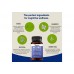 ViteDox Neuro Health | Brain & Focus Formula ViteDox Neuro Health | Brain & Focus Formula